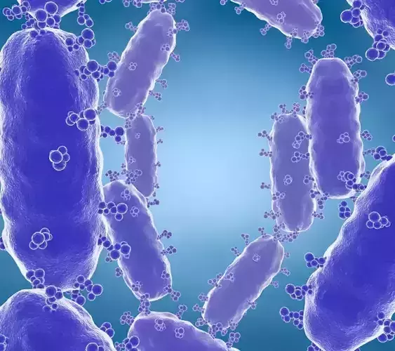 Viruses  bacteria Science  cells nerve cells neurons