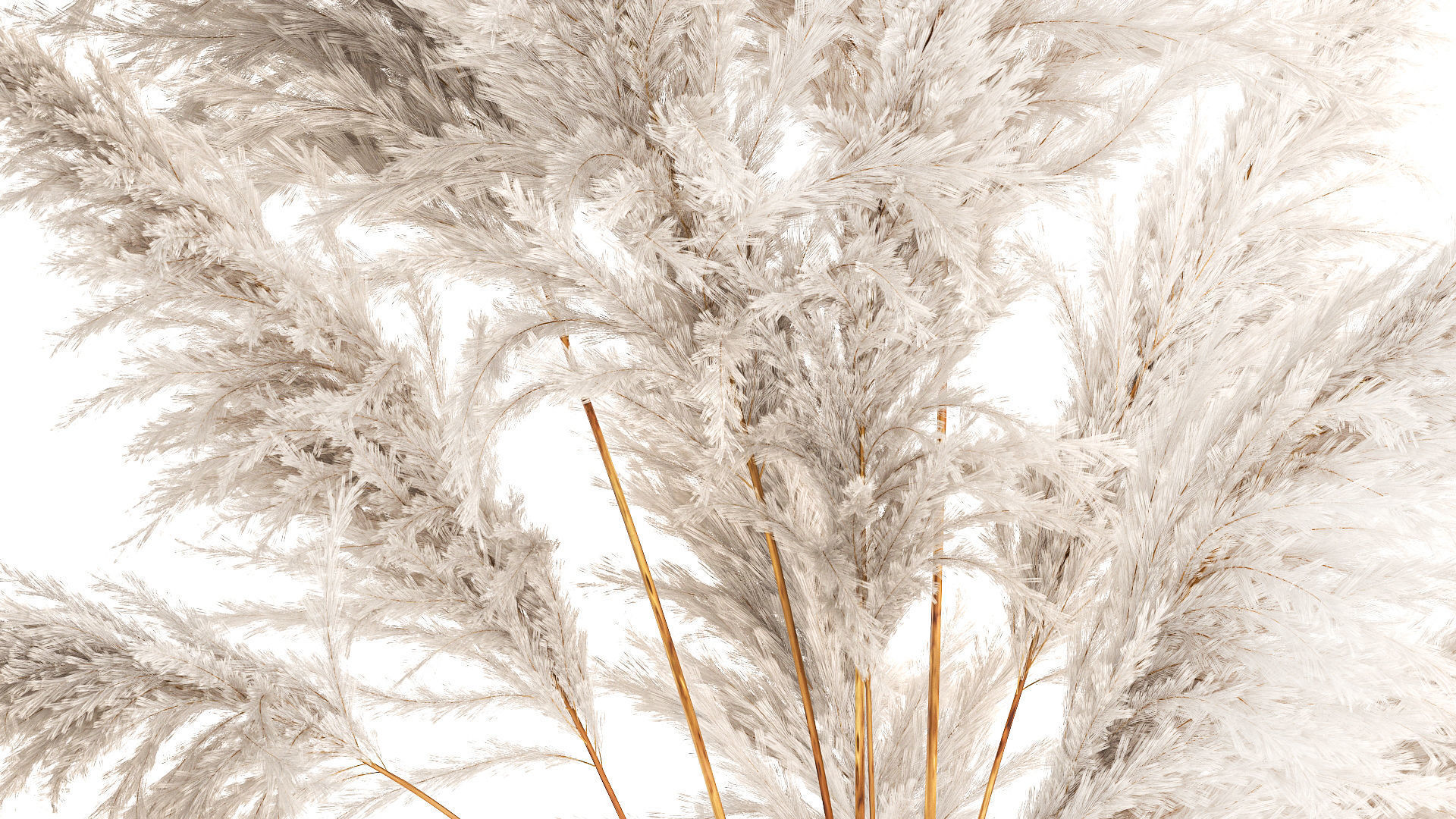 Lush bouquet of dry pampas branches in a vase 317 3D model_5