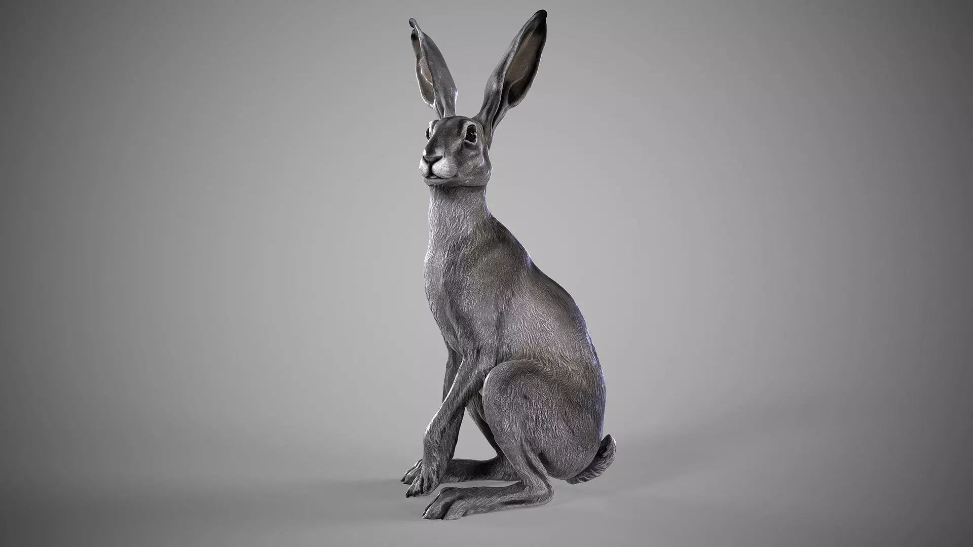 Hare - 3D Sculpting - High Poly 3D print model