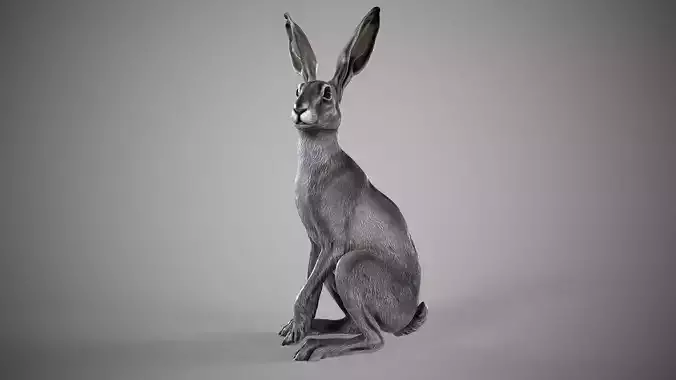 Hare - 3D Sculpting - High Poly 