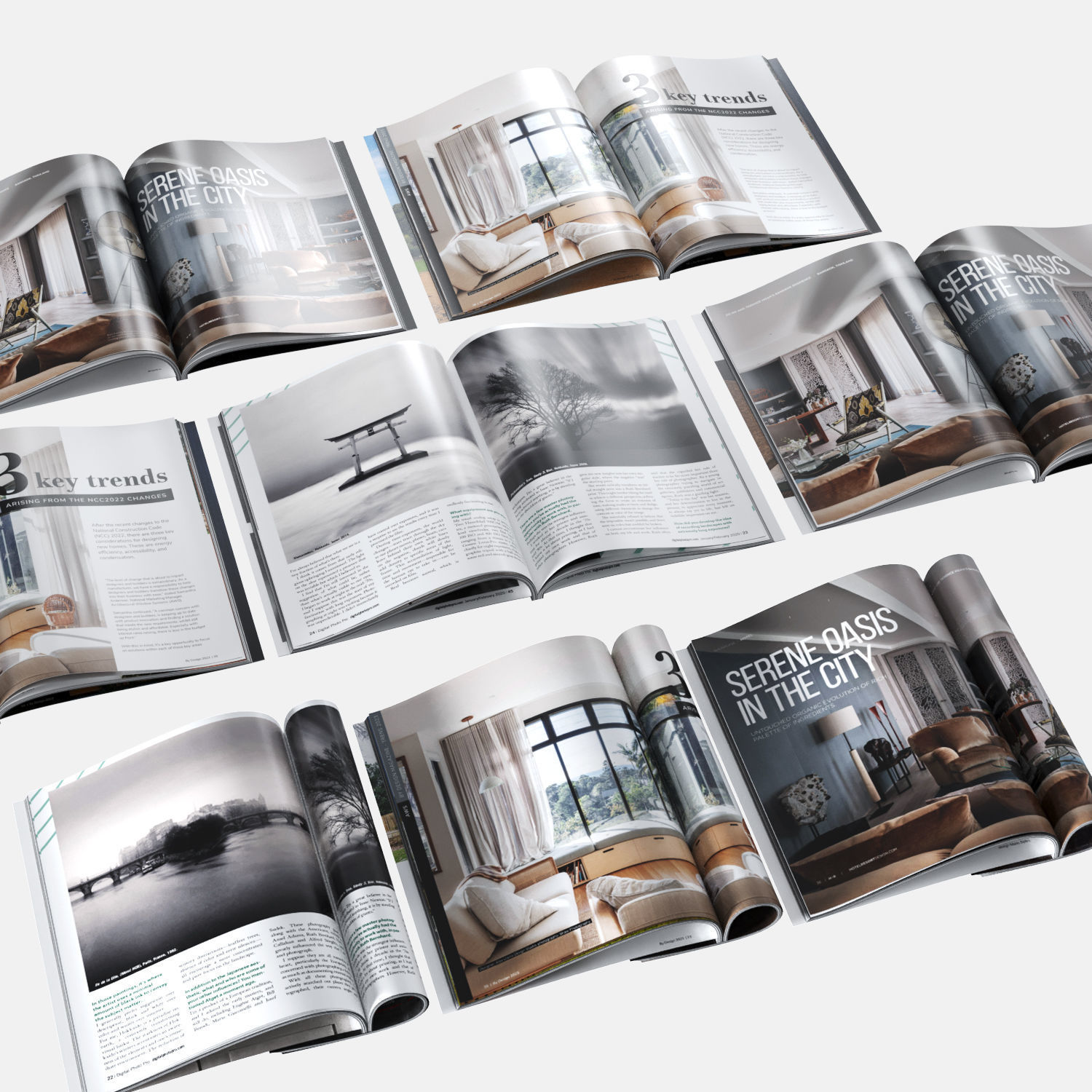 Open Magazine Set 001 3D model_1
