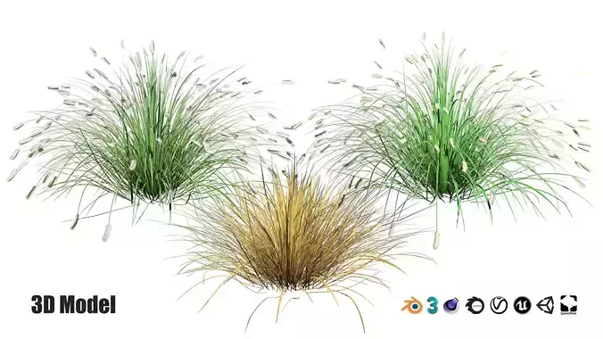 Little Bunny Fountain Grass 3d collection Low-poly 3D model
