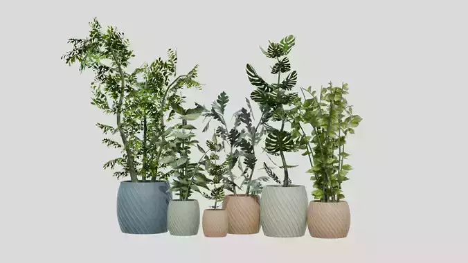 pots with plants