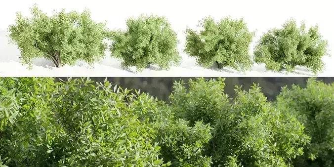 Bushes for garden collection vol 210-Blender