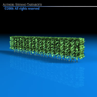 Hedge 3D model_4