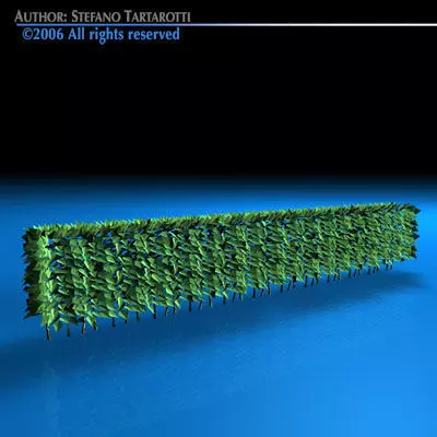Hedge 3D model_0