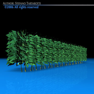 Hedge 3D model_6