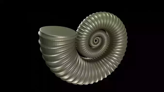 Crioceratites Ammonoid Shell 3D print model