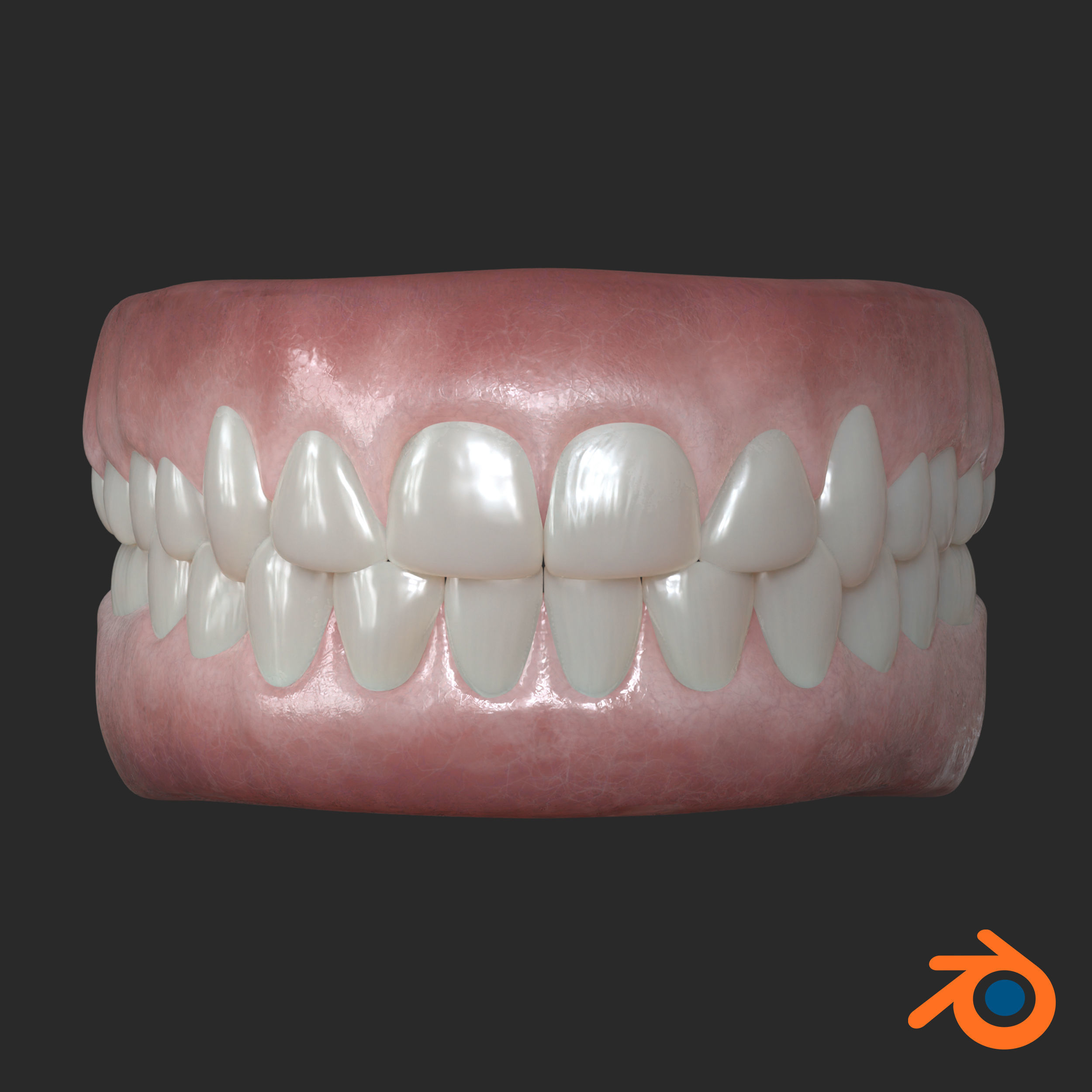 Human Gum and Teeth Low-poly 3D model_3