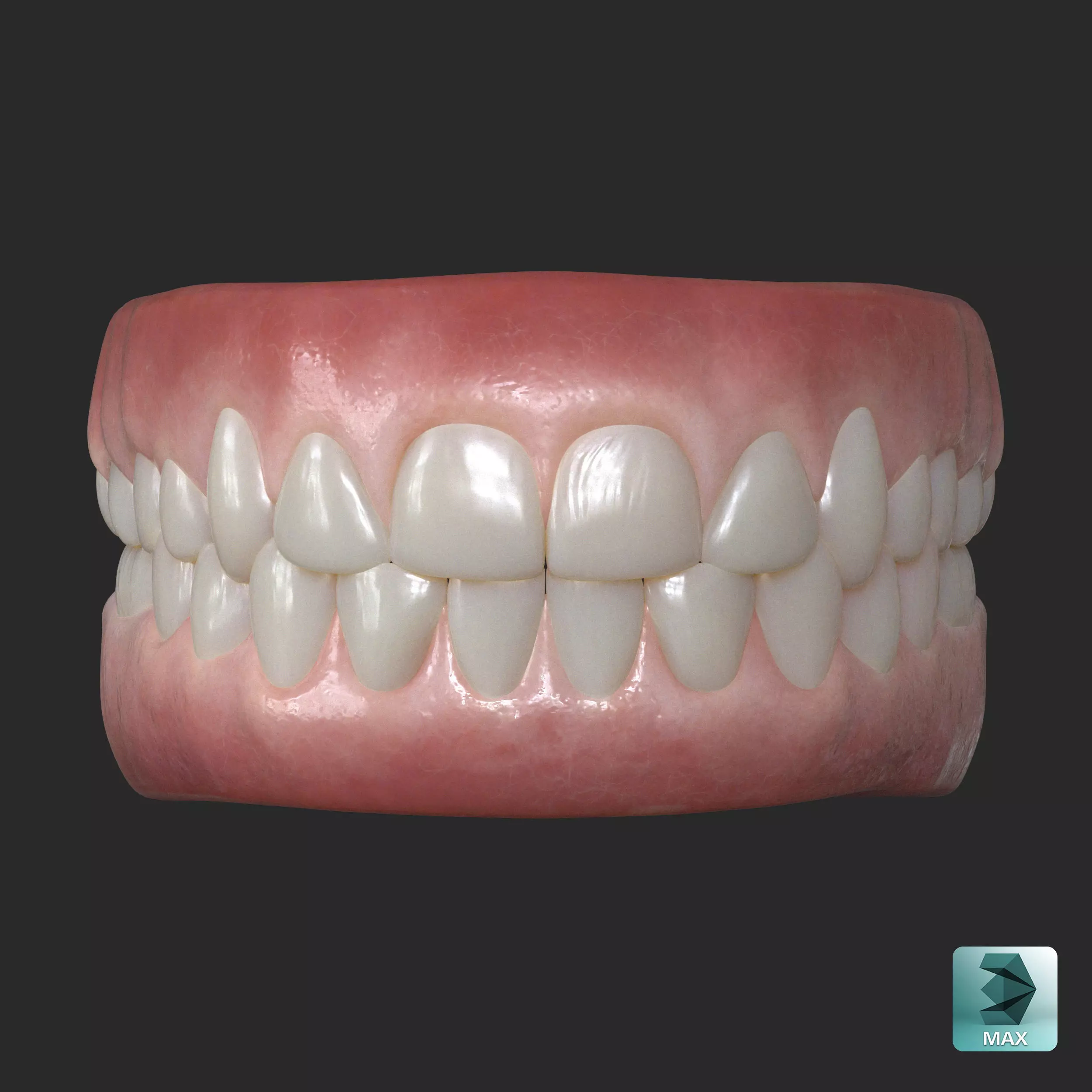 Human Gum and Teeth Low-poly 3D model_0