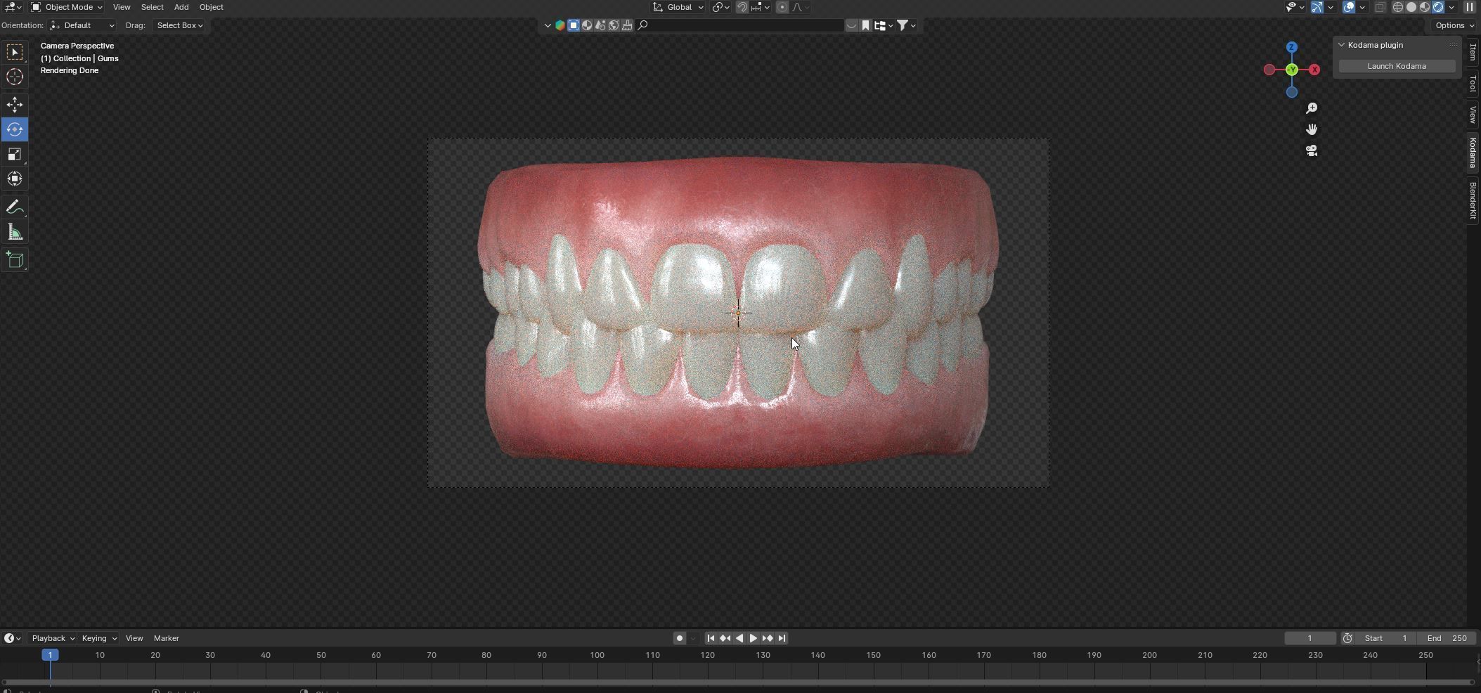 Human Gum and Teeth Low-poly 3D model_9