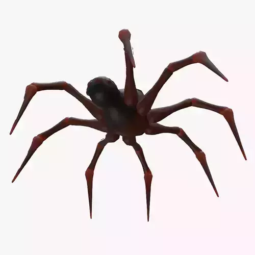 Textured rigged and animated spider Low-poly 3D model Textured rigged and animated spider Low-poly 3D model