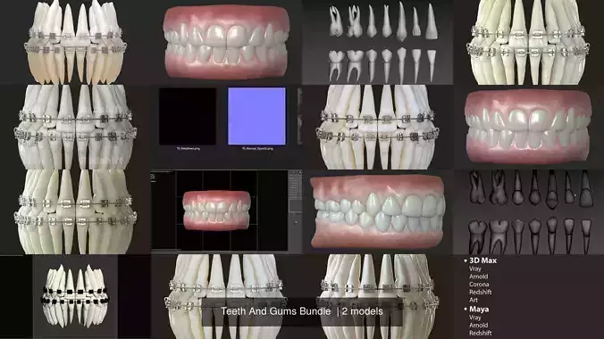 Teeth And Gums Bundle 