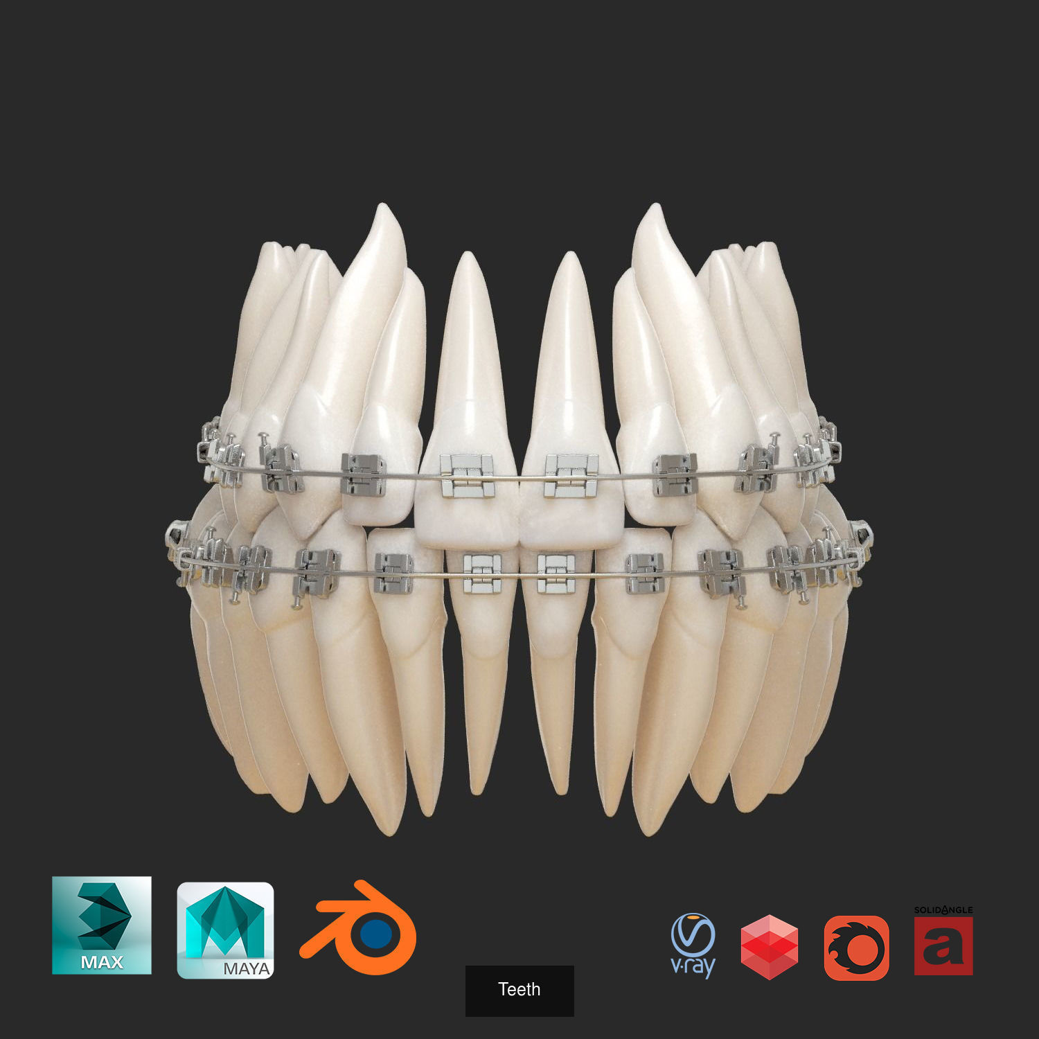 Teeth And Gums Bundle 3D Model Collection_5
