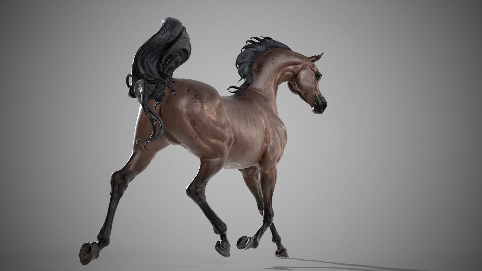 Arabian horse - 3D Sculpting - High Poly  3D print model_14