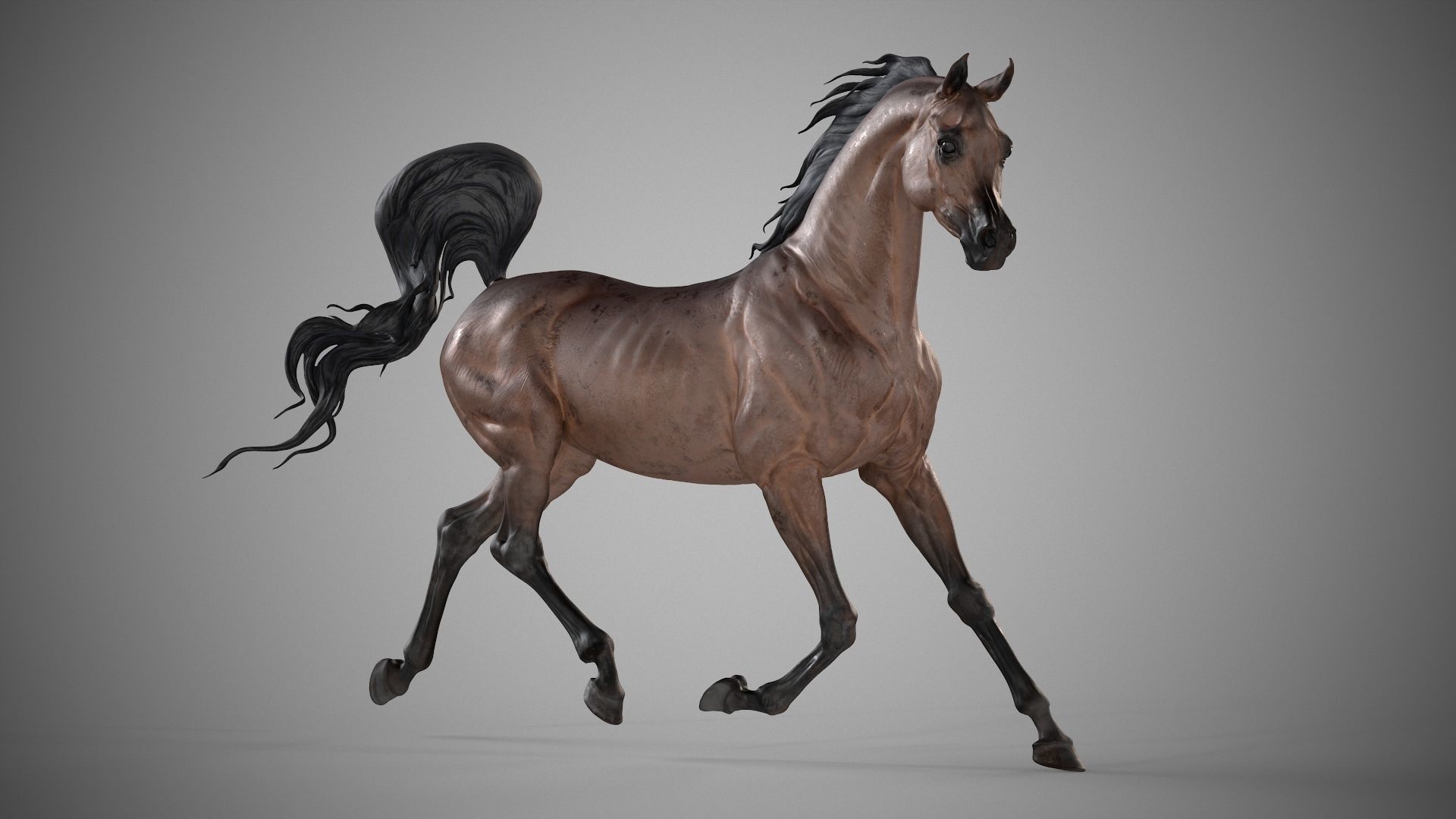 Arabian horse - 3D Sculpting - High Poly  3D print model_11