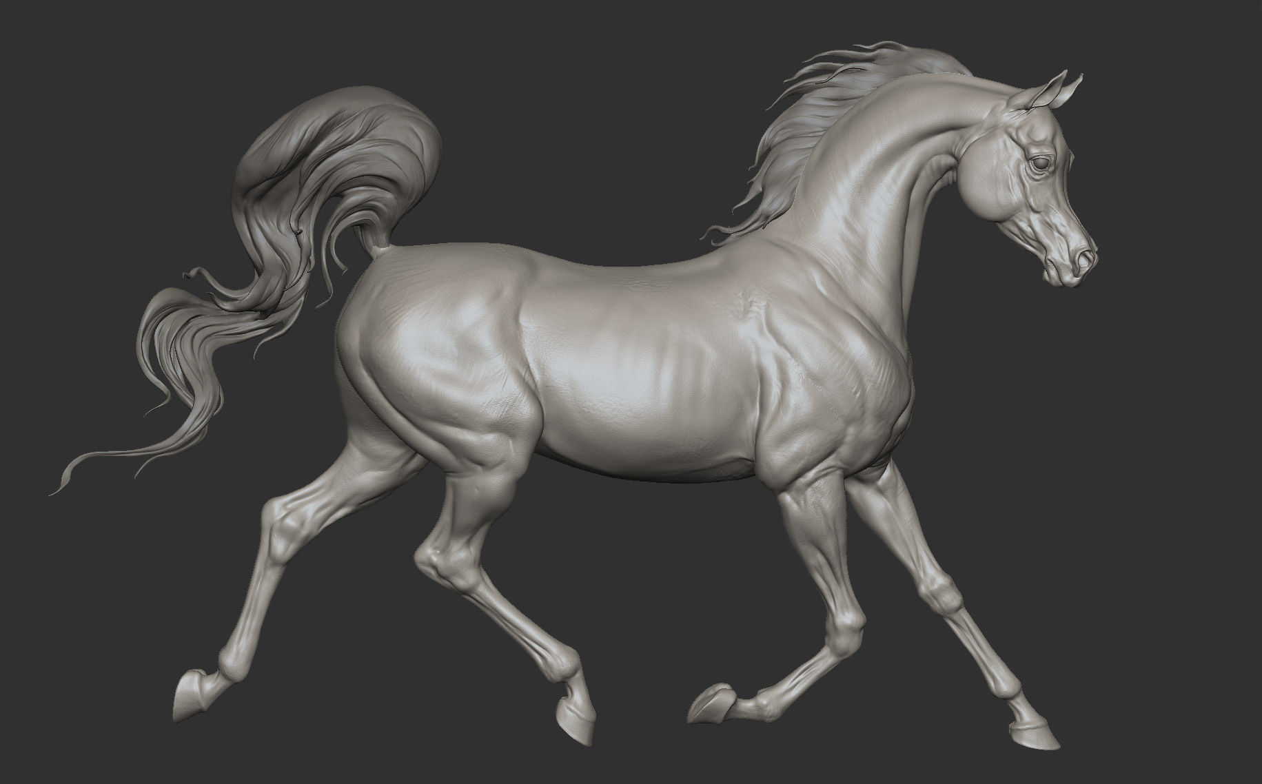 Arabian horse - 3D Sculpting - High Poly  3D print model_6