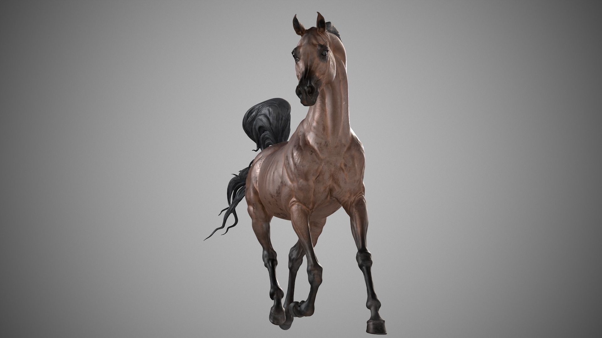 Arabian horse - 3D Sculpting - High Poly  3D print model_13