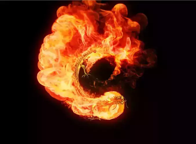 Fire Gold Dragon