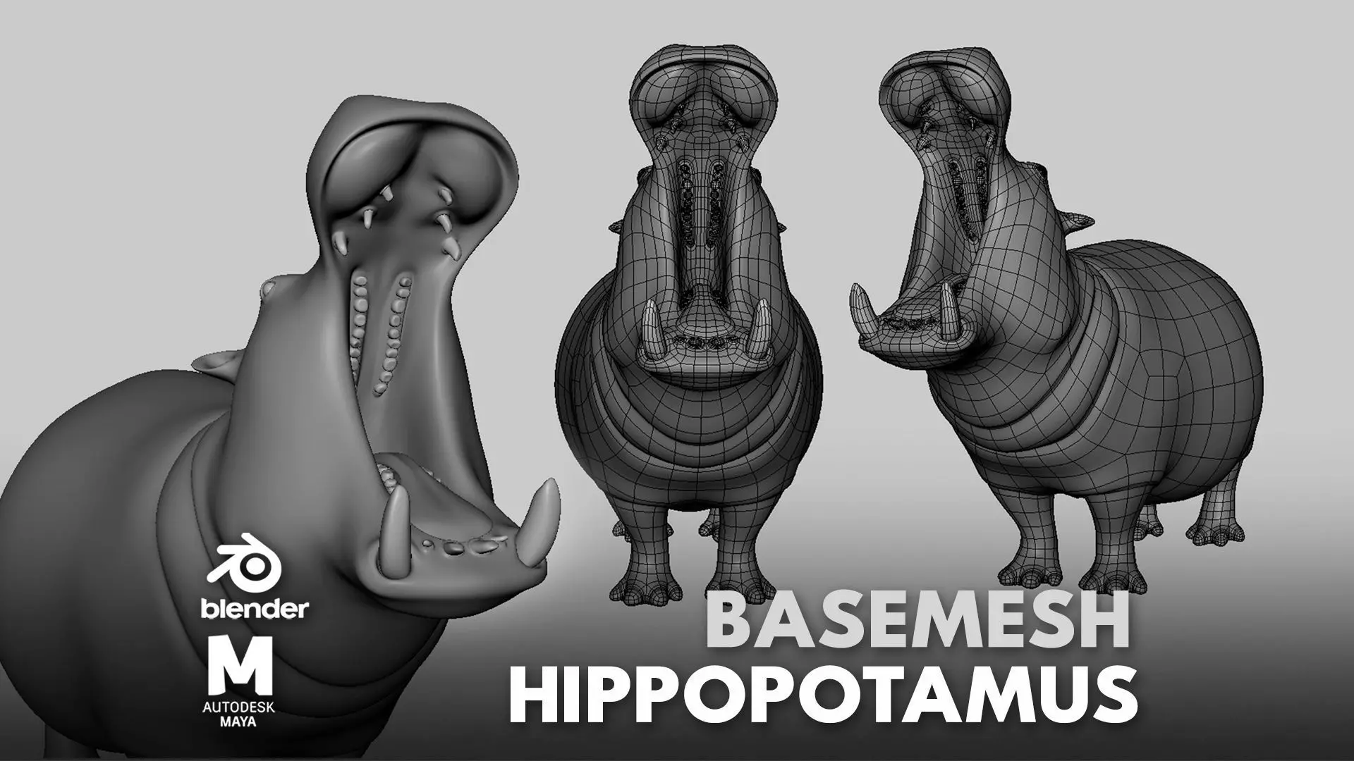 Hippopotamus Basemesh Low-poly 3D model_0