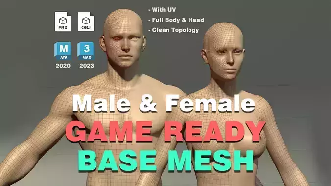 Male and Female BaseMesh  Game Ready  With UV  Clean Topology