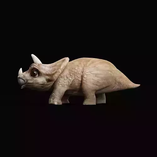 Triceratops Baby Reptile Dinosaur Low-poly 3D model