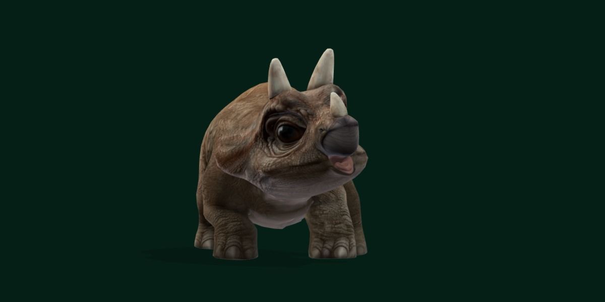 Triceratops Baby Reptile Dinosaur Low-poly 3D model_8