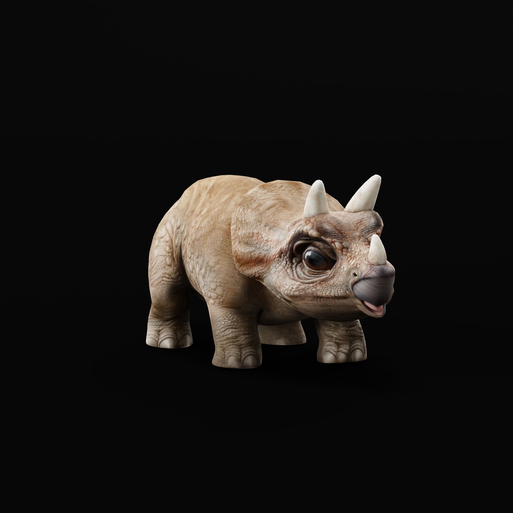 Triceratops Baby Reptile Dinosaur Low-poly 3D model_2