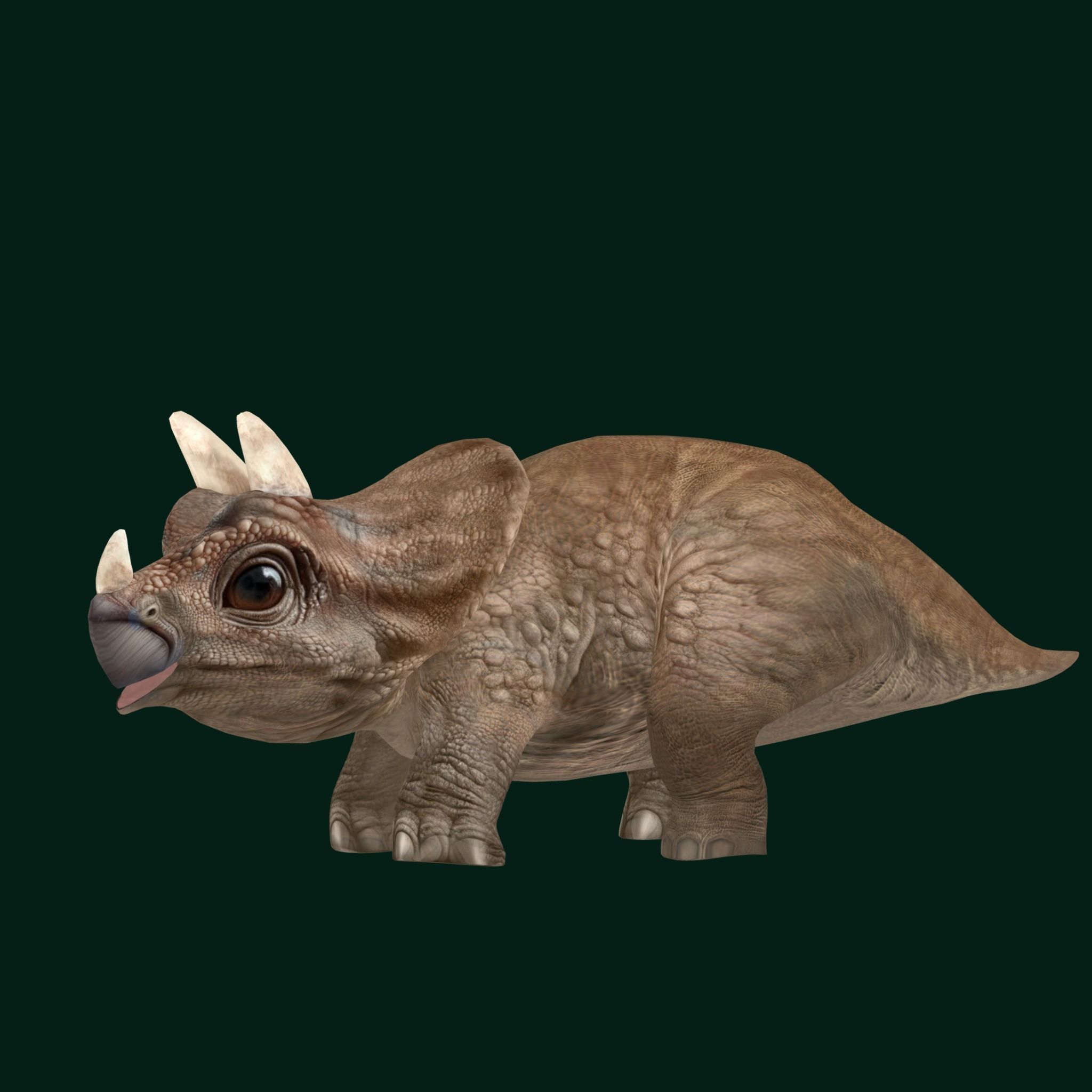 Triceratops Baby Reptile Dinosaur Low-poly 3D model_12