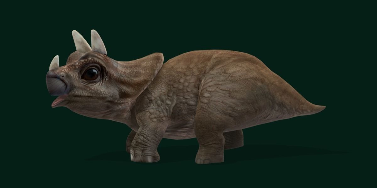 Triceratops Baby Reptile Dinosaur Low-poly 3D model_21
