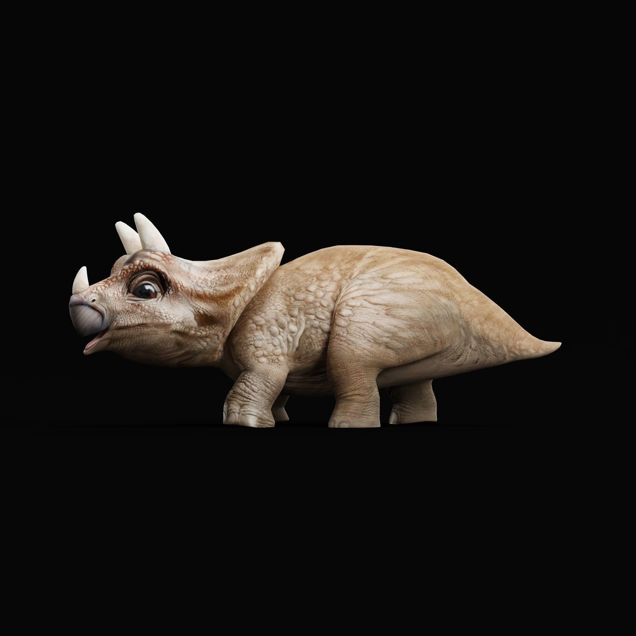 Triceratops Baby Reptile Dinosaur Low-poly 3D model_5