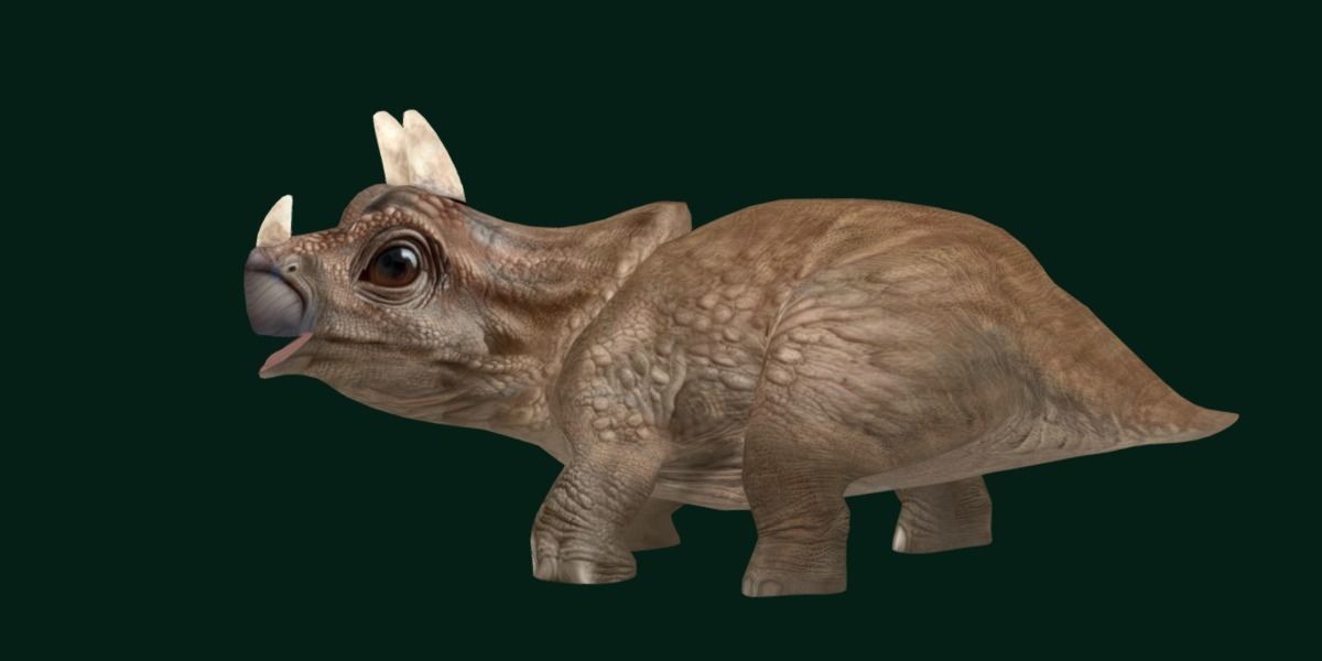 Triceratops Baby Reptile Dinosaur Low-poly 3D model_15
