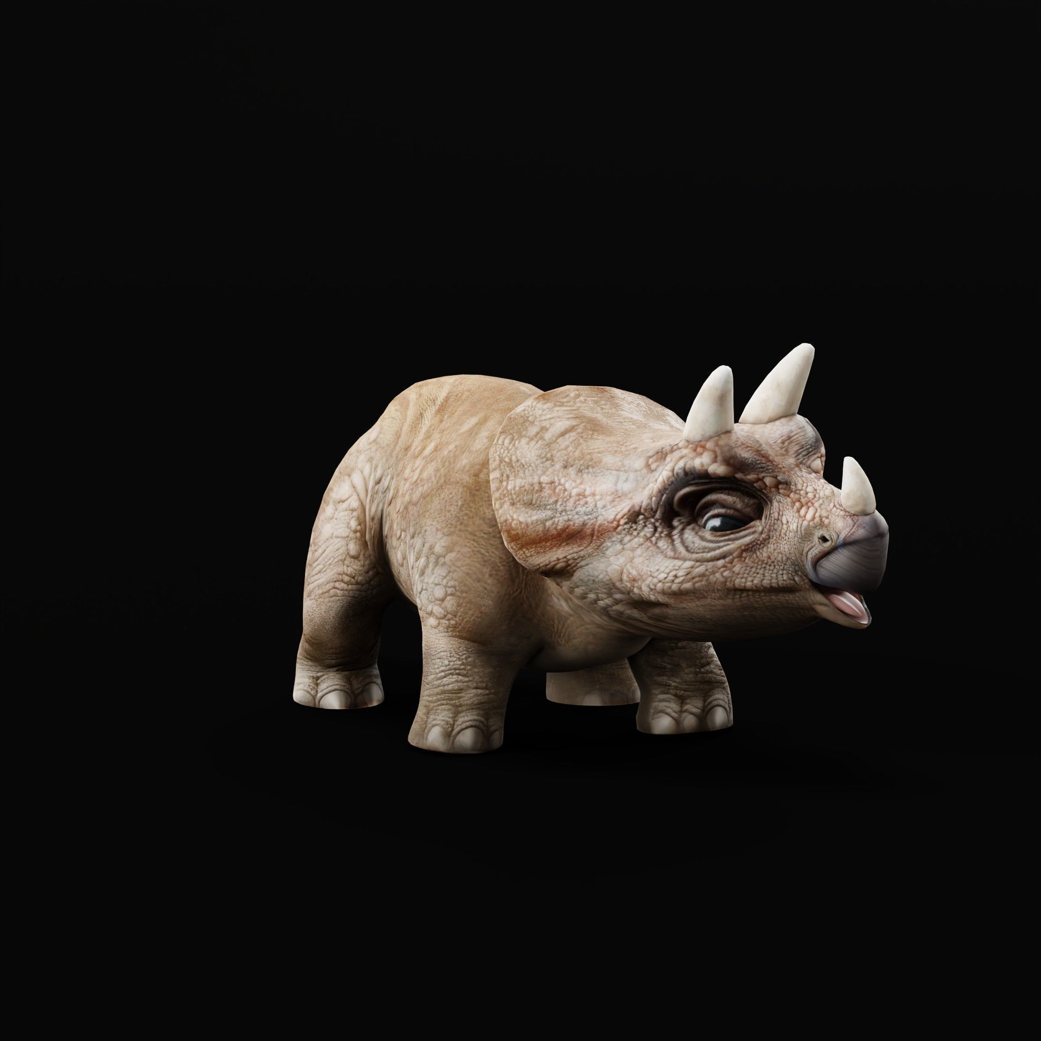 Triceratops Baby Reptile Dinosaur Low-poly 3D model_6
