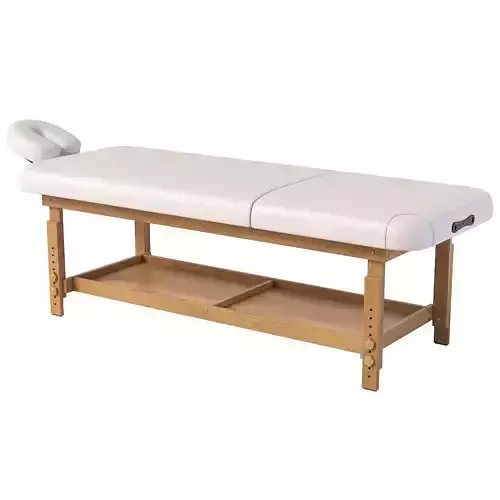 Adjustable Massage Table 3D model