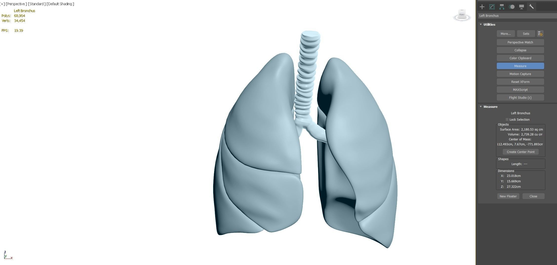 Lungs - Printable  3D print model_2