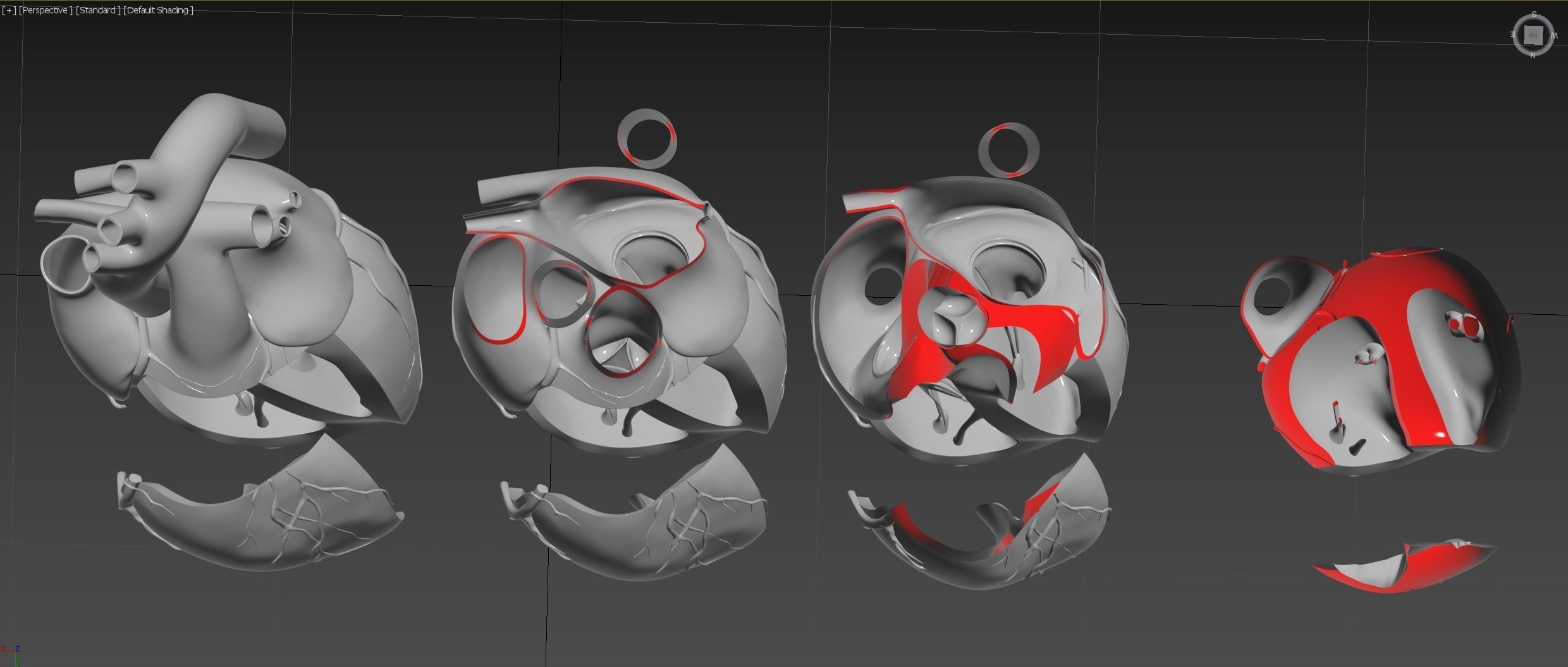 Inside Heart Anatomy - Printable 3D print model_9
