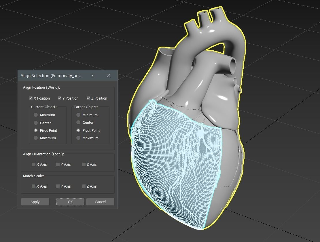 Inside Heart Anatomy - Printable 3D print model_7