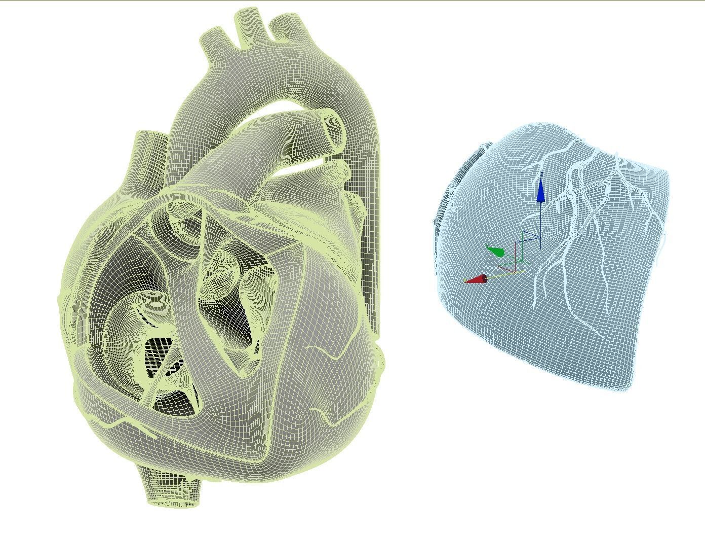 Inside Heart Anatomy - Printable 3D print model_16
