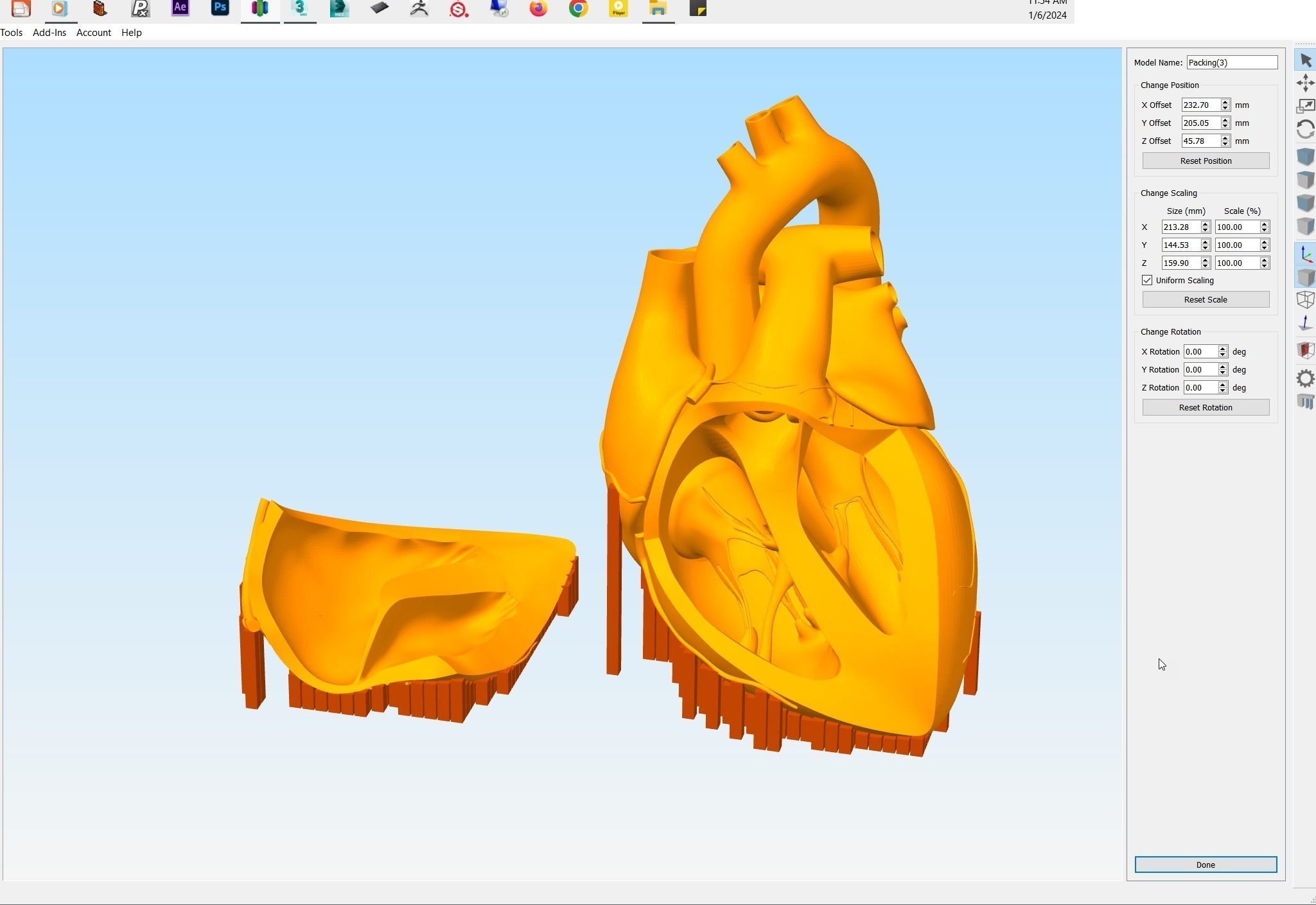 Inside Heart Anatomy - Printable 3D print model_11