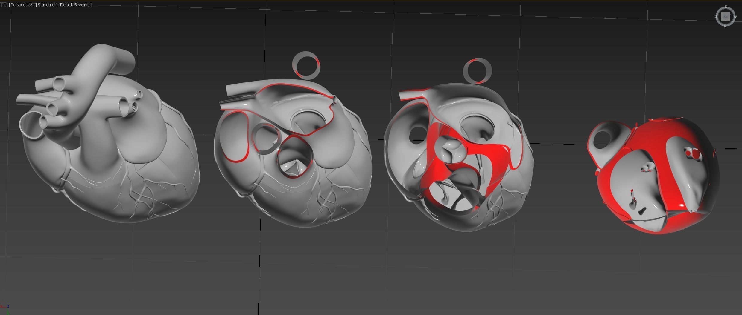 Inside Heart Anatomy - Printable 3D print model_8
