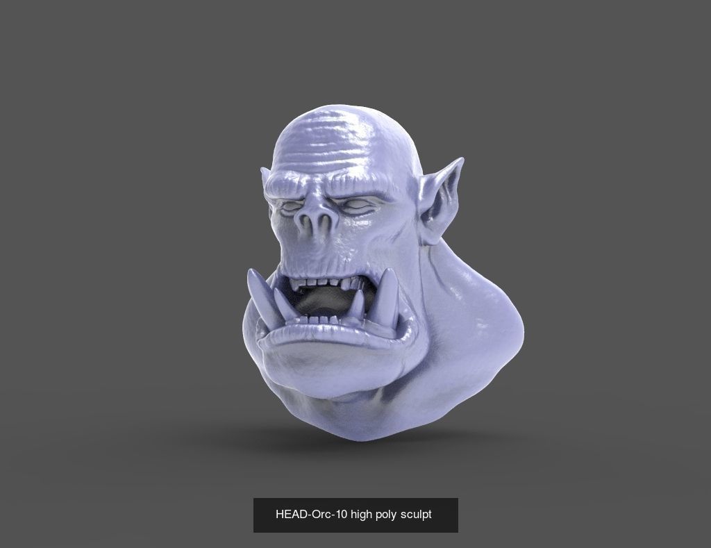 50 HEADS High Poly sculpts  3D Model Collection_34