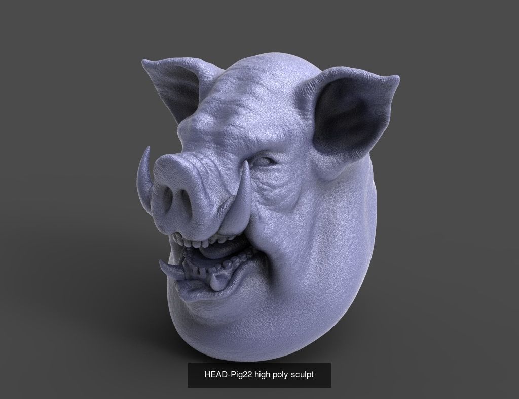 50 HEADS High Poly sculpts  3D Model Collection_13