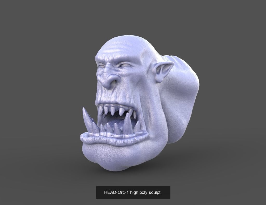 50 HEADS High Poly sculpts  3D Model Collection_25