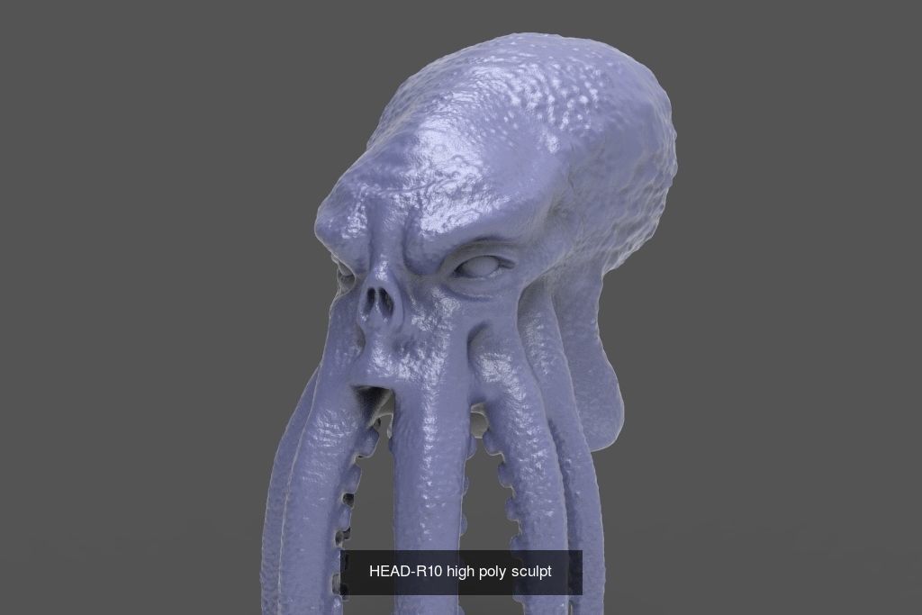 50 HEADS High Poly sculpts  3D Model Collection_35