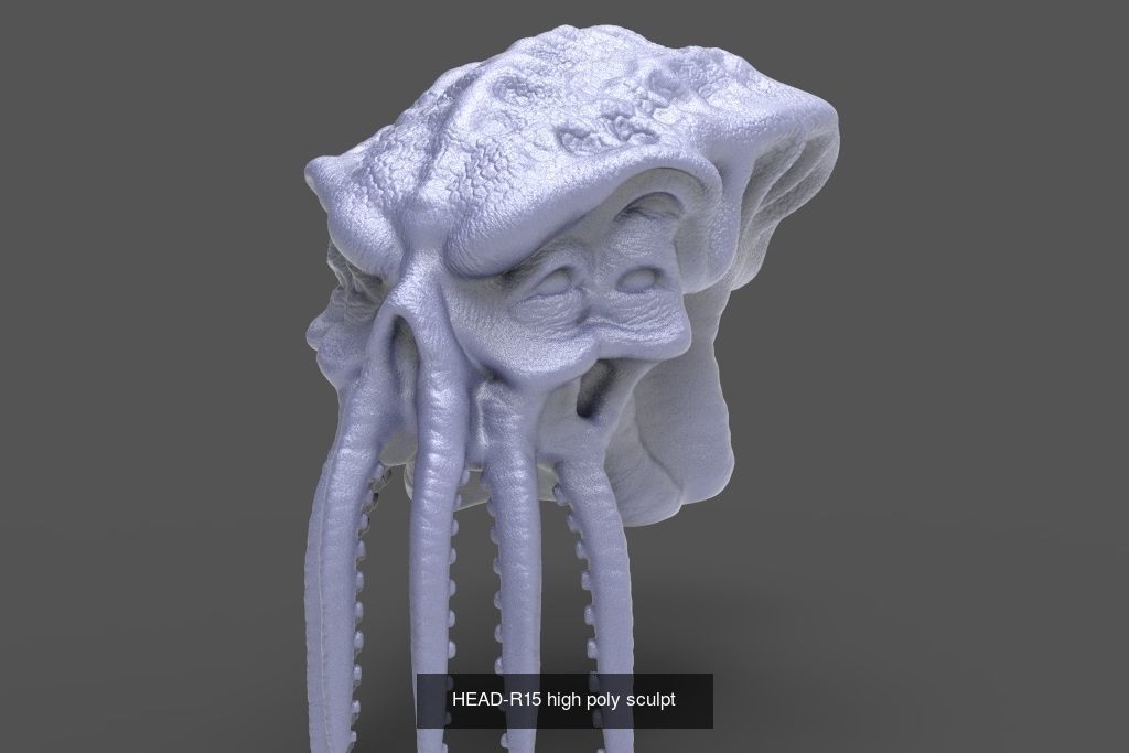 50 HEADS High Poly sculpts  3D Model Collection_40