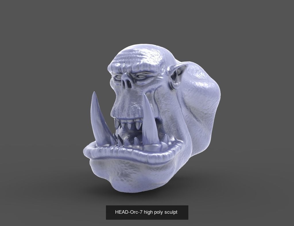 50 HEADS High Poly sculpts  3D Model Collection_31