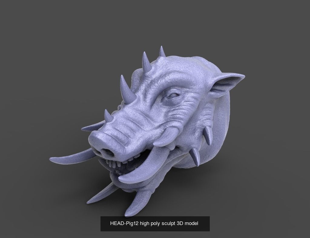 50 HEADS High Poly sculpts  3D Model Collection_3