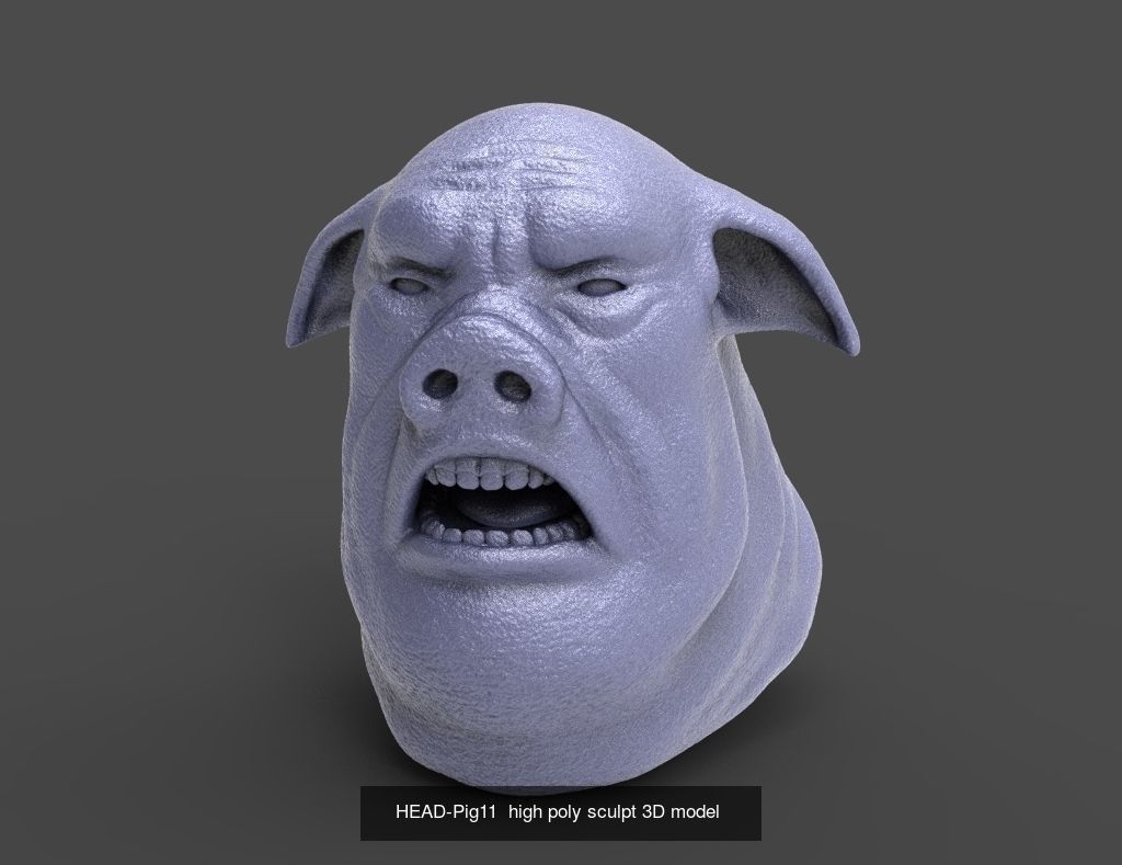 50 HEADS High Poly sculpts  3D Model Collection_2