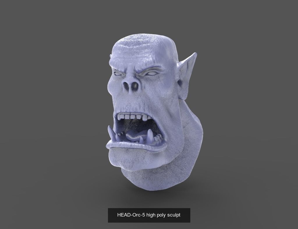 50 HEADS High Poly sculpts  3D Model Collection_29