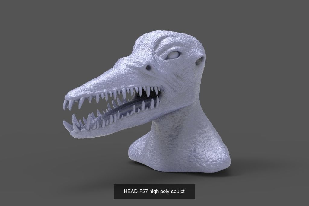 50 HEADS High Poly sculpts  3D Model Collection_48
